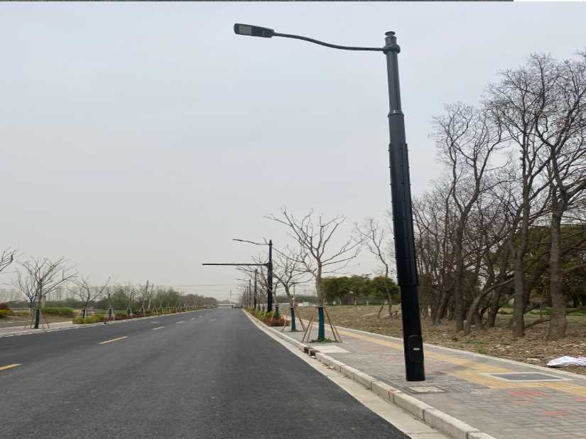 明光市上海综合杆 太阳能路灯工程